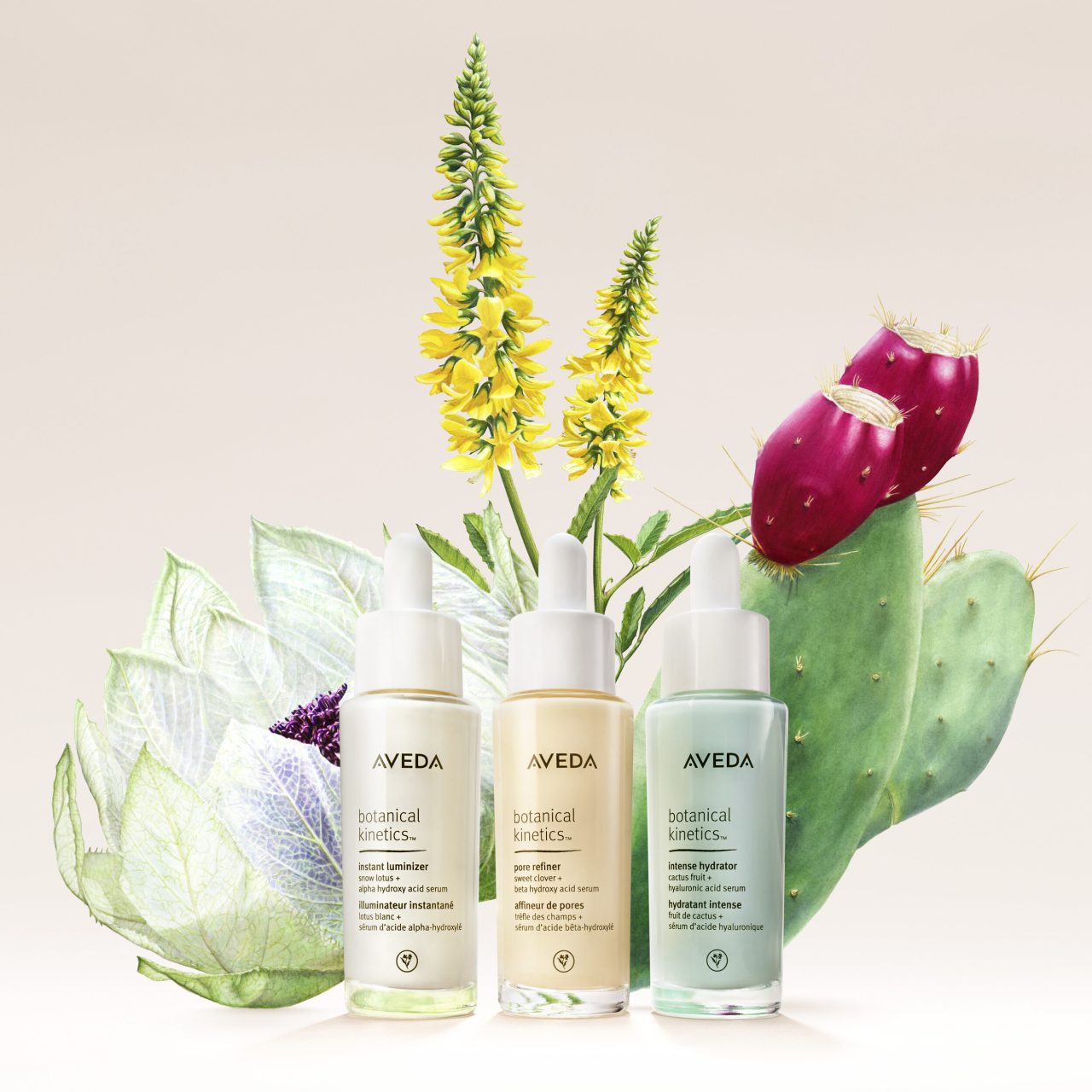 Salon de belleza en kendall square Actualizado enero 2024